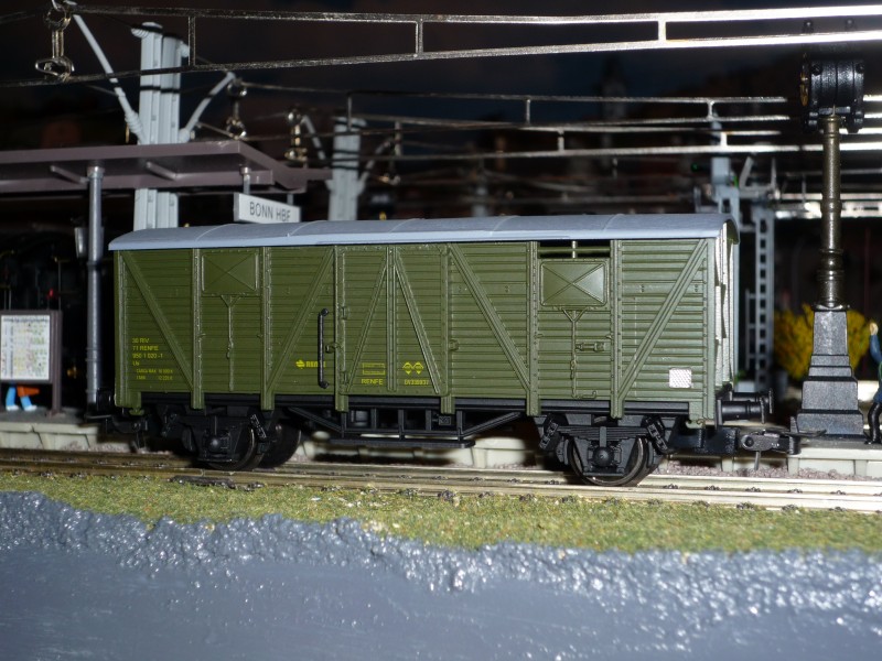 Dv339937.JPG