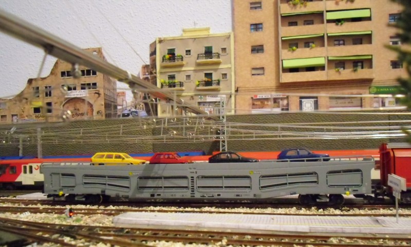 CIMG0529.JPG