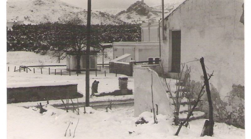 Nevada en Luque.jpg