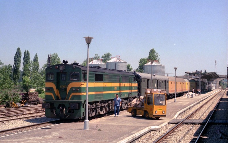 276.jpg