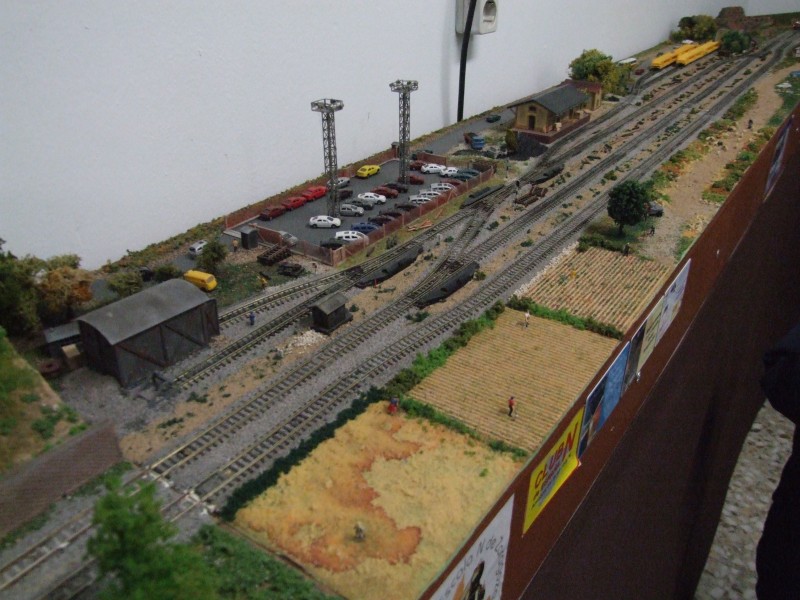 DSCF6043.JPG