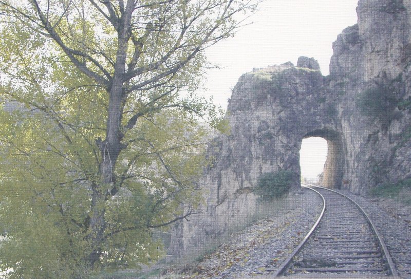 9025.jpg