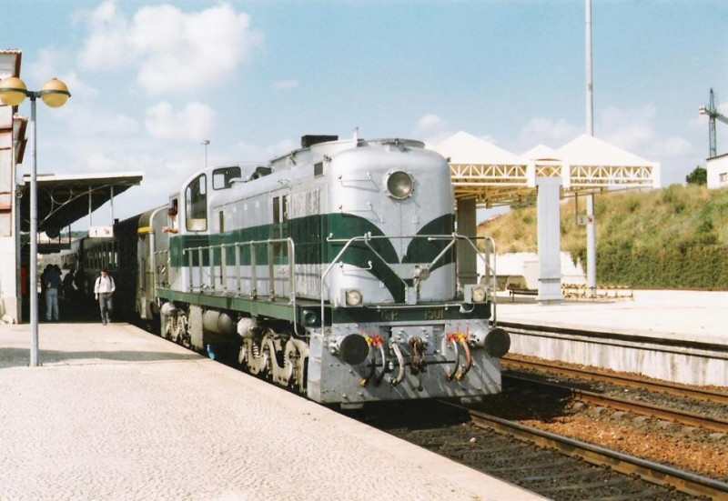 9029.JPG
