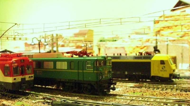 CIMG6838.JPG