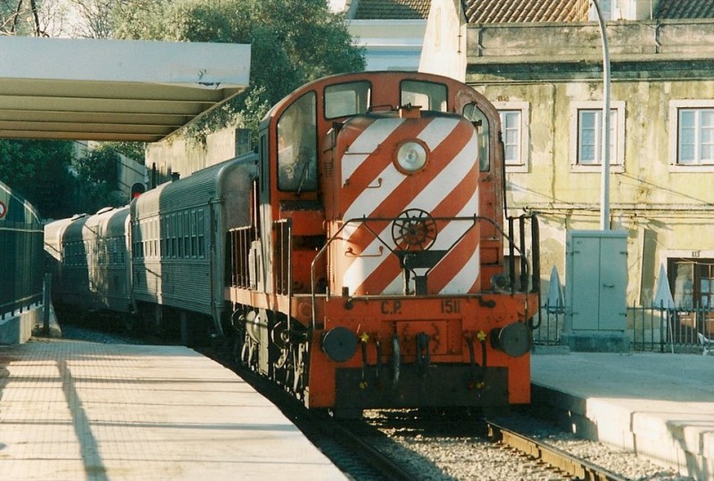 9028.jpg