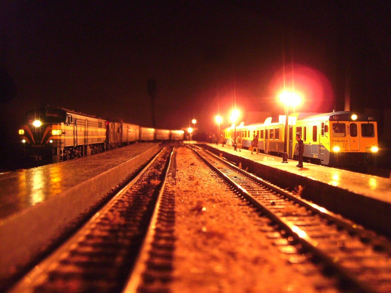 SANY2585.JPG