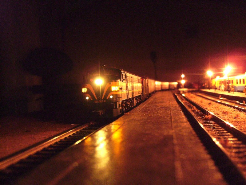 SANY2583.JPG