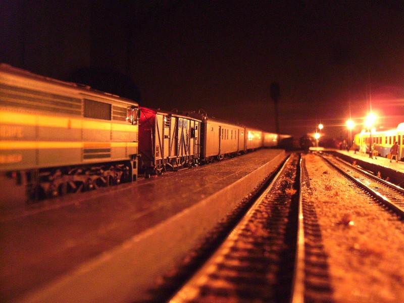 SANY2577.JPG