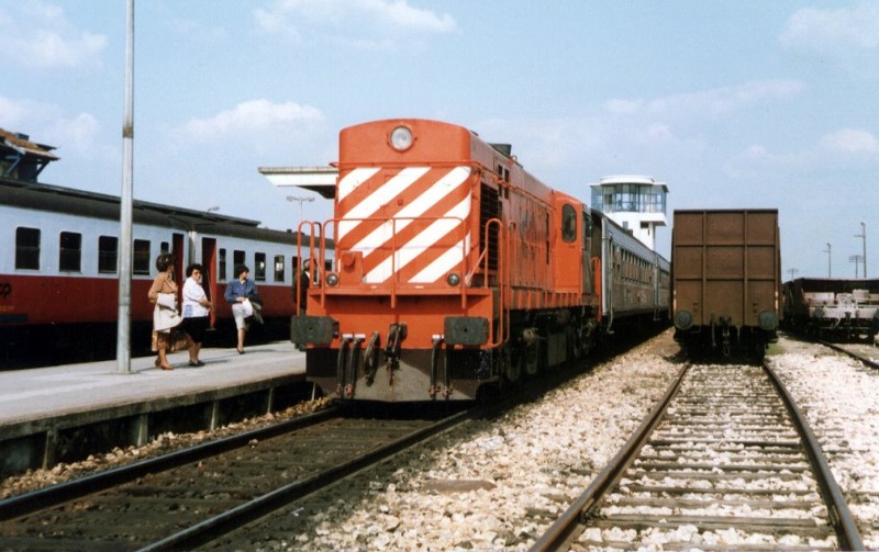6223.jpg