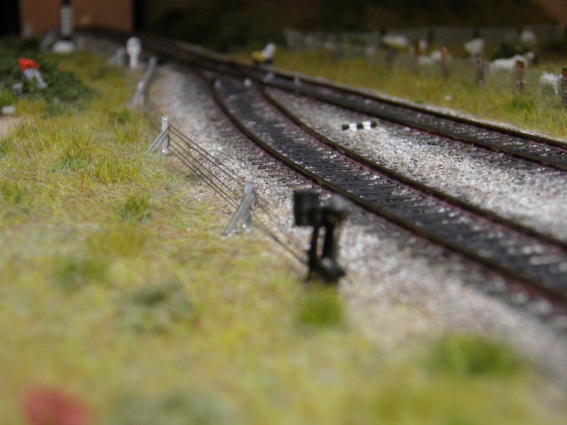 PC242046.JPG
