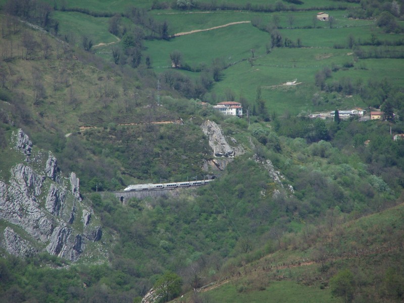 C100_7460.JPG