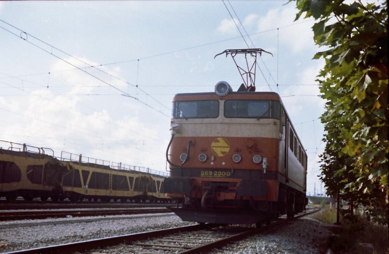 Felisuco1477.jpg