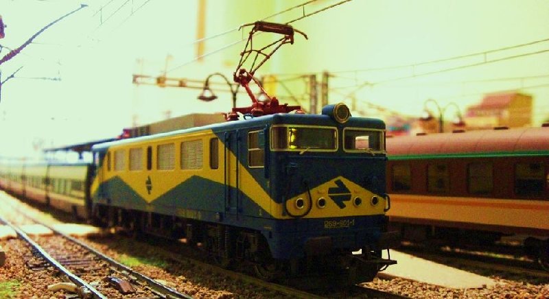 CIMG6853.JPG