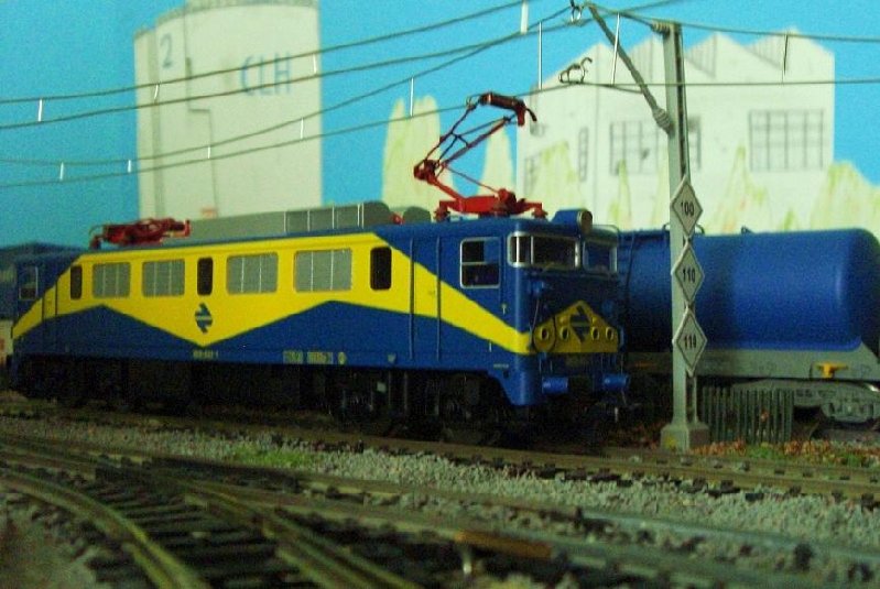 CIMG6862.JPG