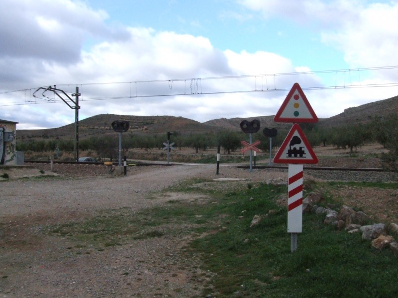 DSCF6202.JPG