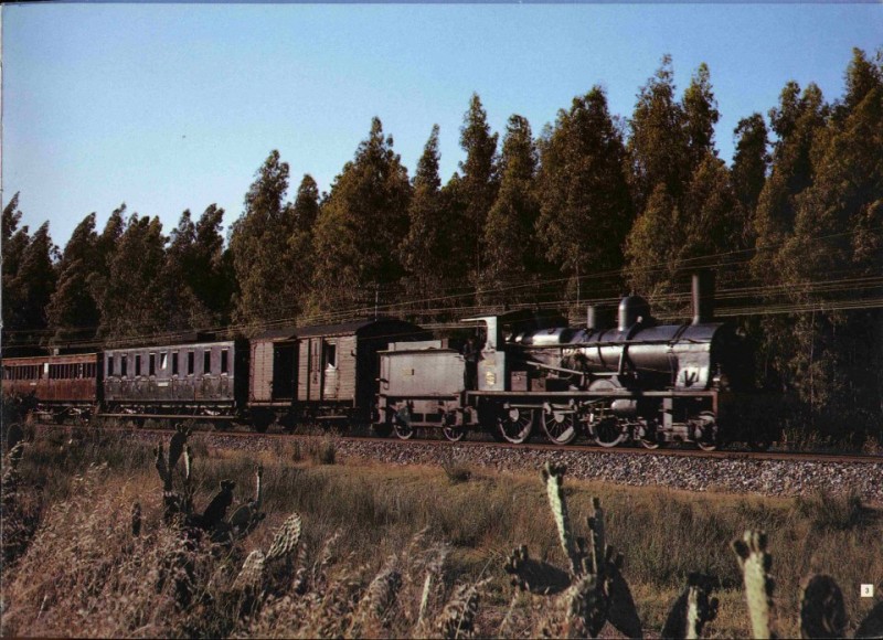 9311.jpg