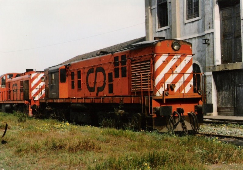 6227.jpg