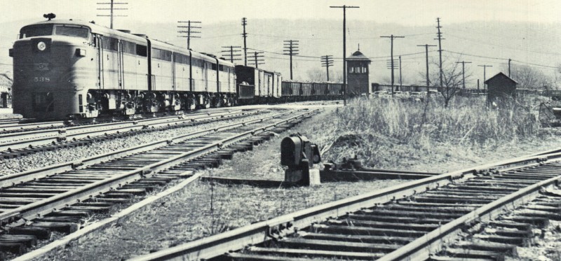 PTDC0005.JPG