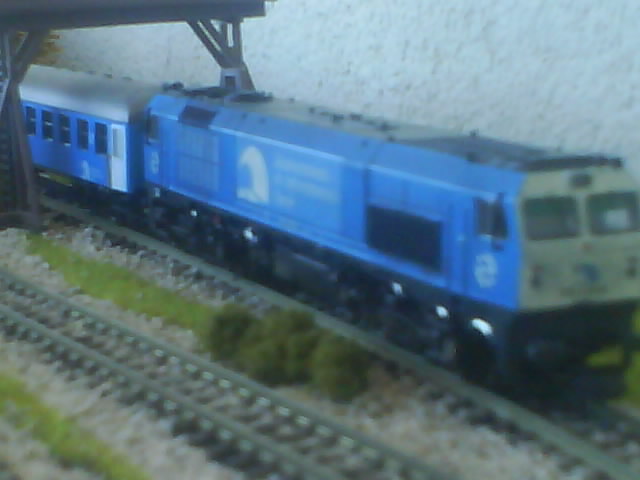 DSC00103.jpg