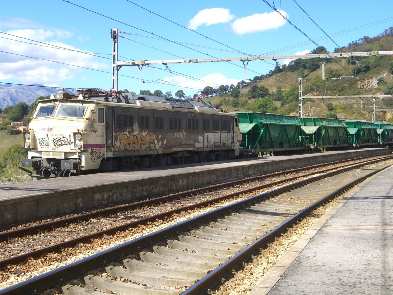 CIMG8311.JPG