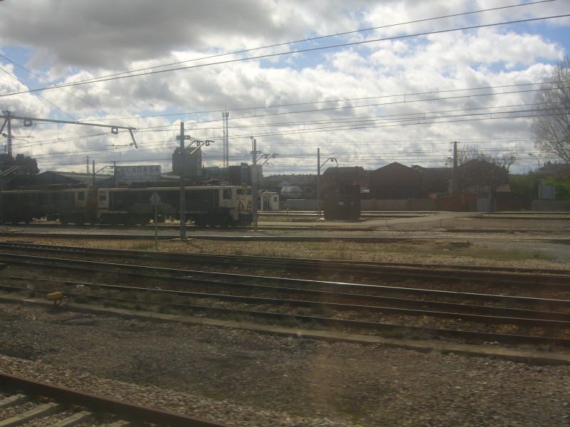 CIMG7599.JPG