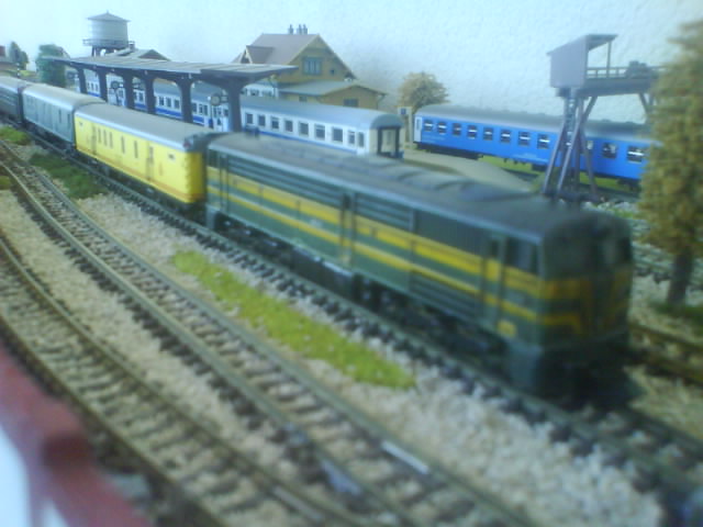 DSC00106.jpg