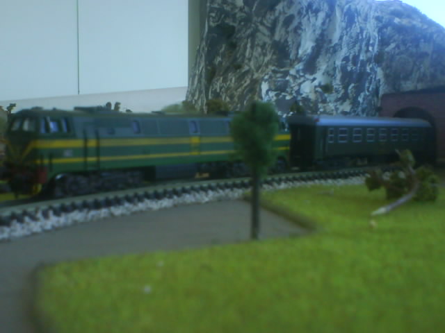 DSC00109.jpg