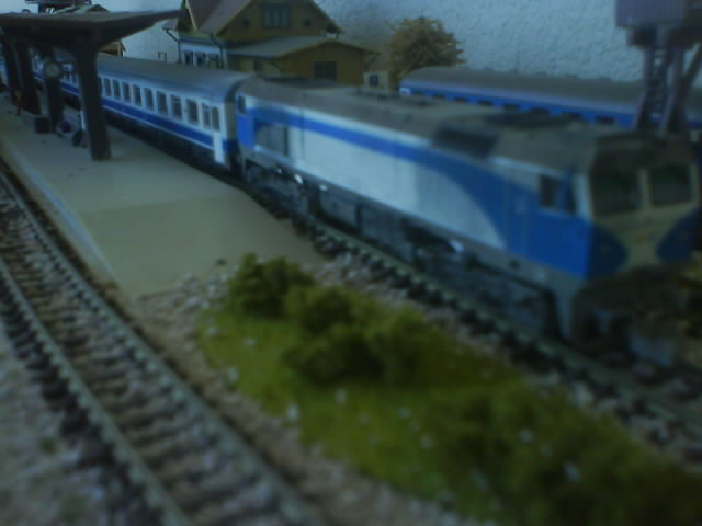 DSC00115.jpg