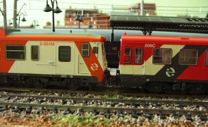CIMG6887.JPG