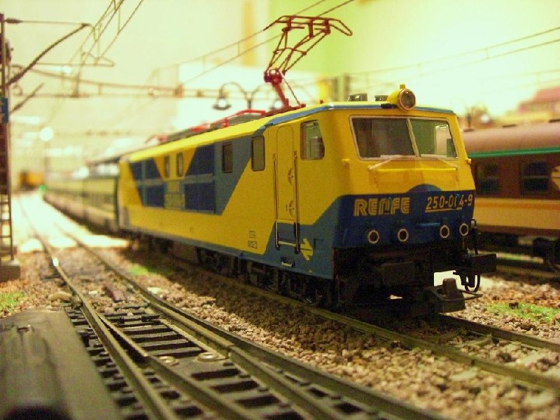 CIMG6905.JPG