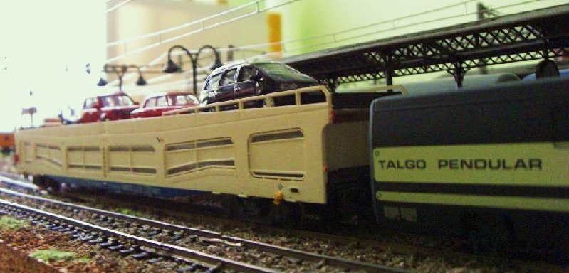 CIMG6882.JPG