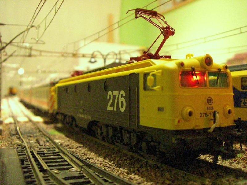 CIMG6912.JPG