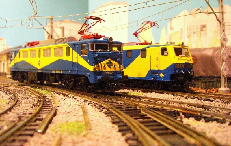 CIMG6914.JPG