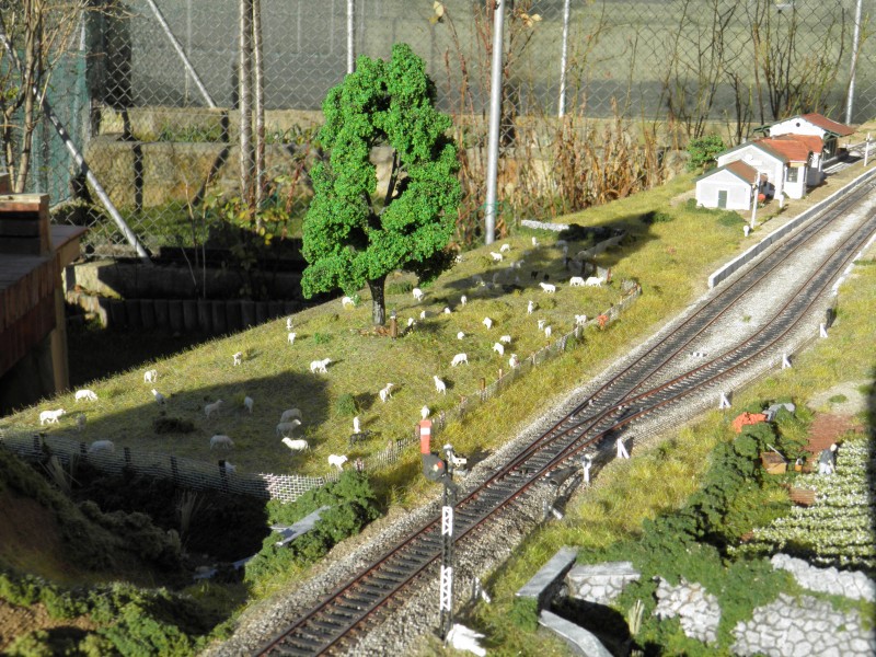 P1052221.JPG