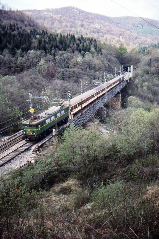 Salera01.jpg