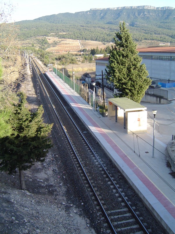 Capçanes 2013 1.JPG