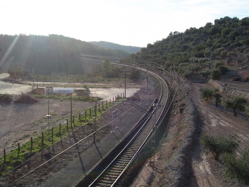 Capçanes 2013 2.JPG