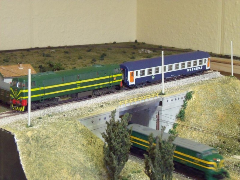 Copia de toral en tren 011.jpg