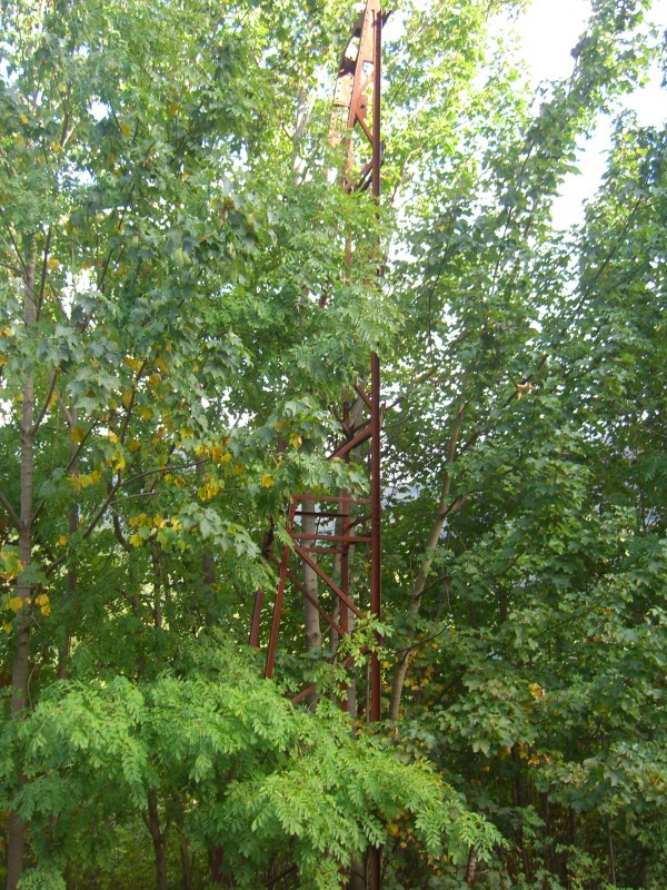 CIMG8332.JPG