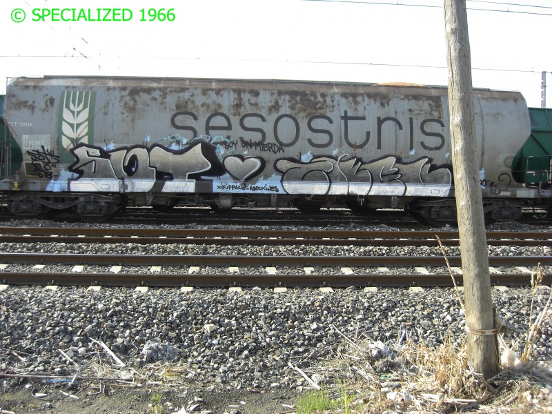 CIMG0009.JPG