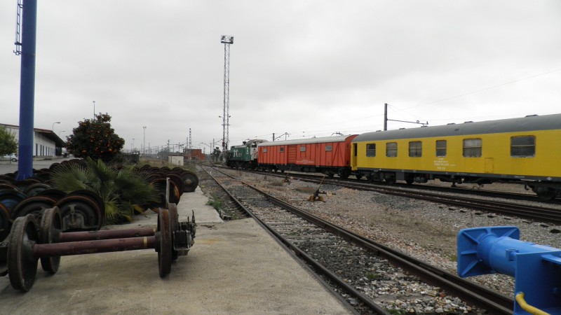 P1181884.JPG