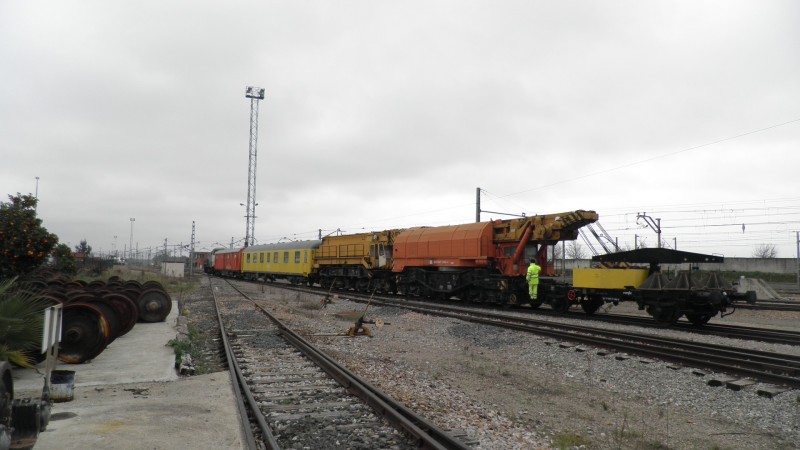 P1181885.JPG