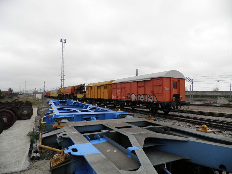 P1181892.JPG