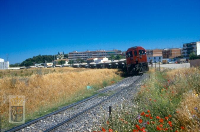 FD0200010149-01.jpg