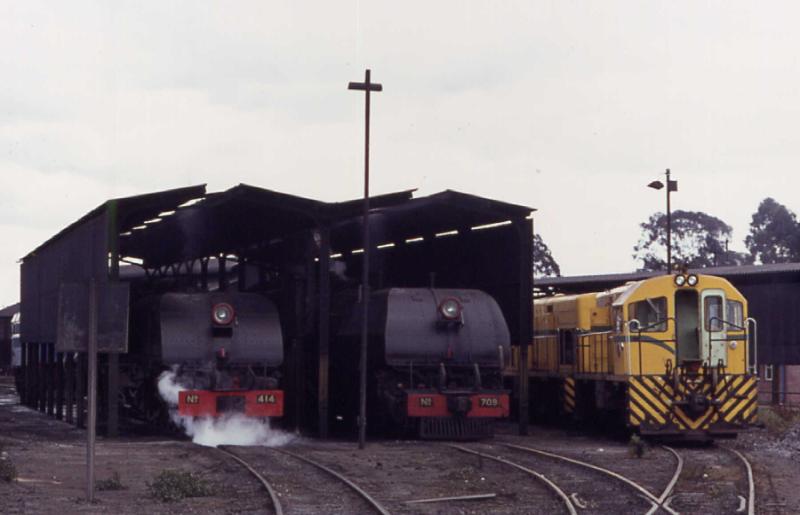 DE09atGwelosheds.jpg