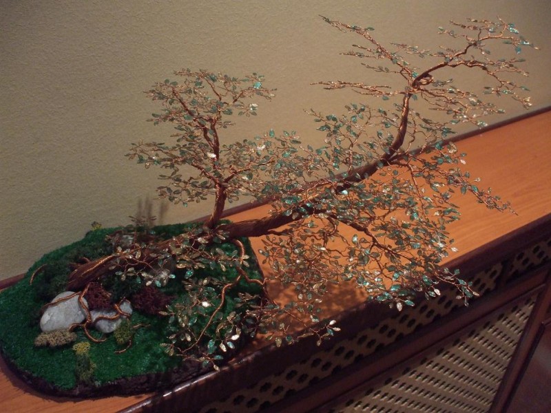 Bonsai 001.jpg