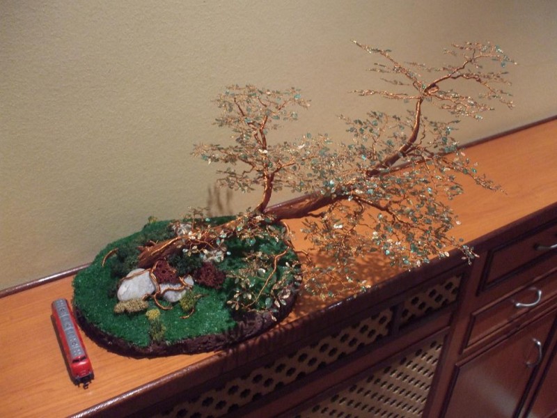 Bonsai 002.jpg