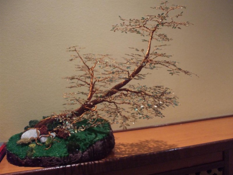 Bonsai 003.jpg