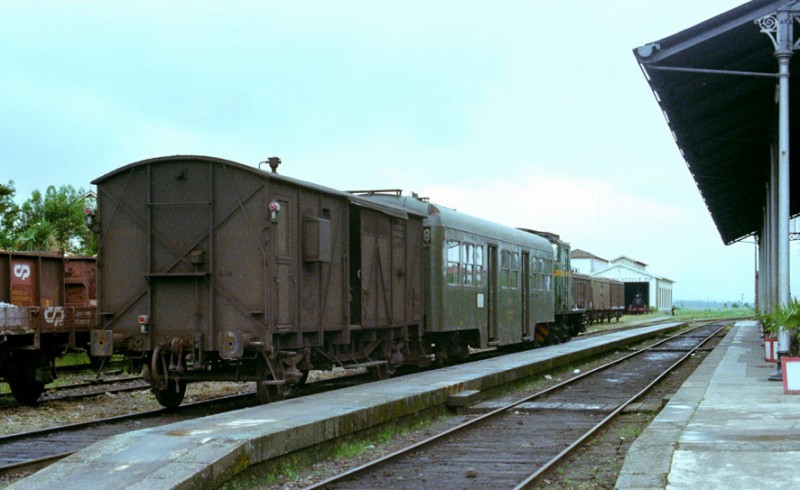 6290.jpg