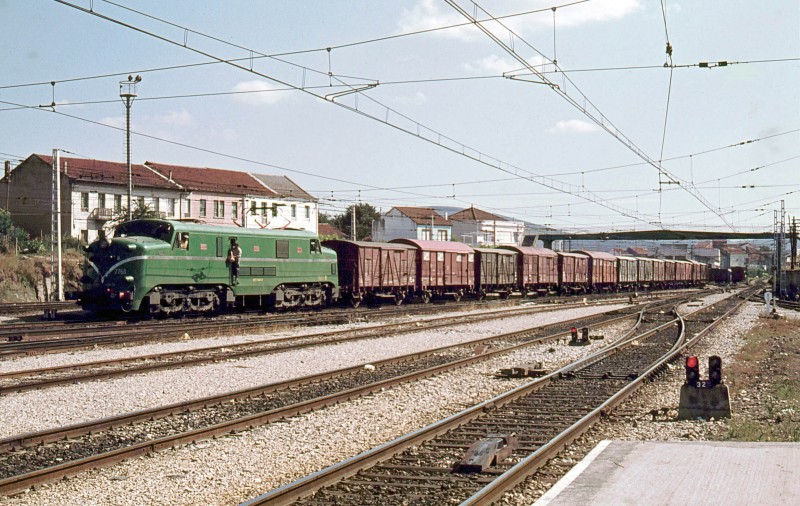 7768.jpg
